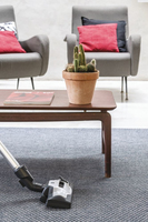 Hoover H-POWER 700 HP720PET 011 2 L Aspirateur réservoir cylindrique Sec 850 W Sans sac