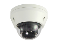 Level One FCS-3306, IP Cam, LevelOne FCS-3306 Dome Innen FCS-3306 (BILD1)