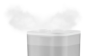 Rowenta Aqua Boost HU4020F0 humidificateur Ultrasonic 2,5 L Blanc, Argent 115 W