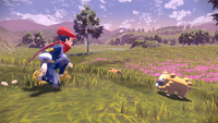 Nintendo Légendes Pokémon : Arceus Standard Nintendo Switch