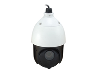 LevelOne FCS-4051 Sicherheitskamera Dome IP-Sicherheitskamera Innen & - FCS-4051