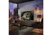 LG OLED evo C4 OLED48C44LA TV 121,9 cm (48&quot;) 4K Ultra HD Smart TV Wifi