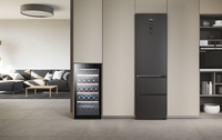 Haier Wine cellar WS105GA Refroidisseur de vin compresseur Autoportante Noir 105 bouteille(s)