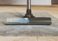 Hoover HP321PAF 011 2 L Aspirateur réservoir cylindrique Sec 850 W Sans sac