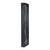 APC (AR8725) Valueline, Vert CAB Mngr - 2 & 4 Post Racks, 84"H X 6"W, Double-Sided W Doors