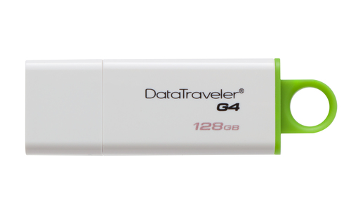 Kingston Technology DataTraveler G4 USB flash drive
