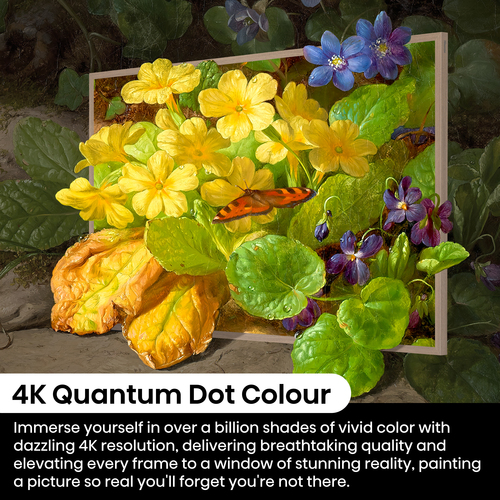 Hisense 65" S7NQTUK Canvas TV with Freely & ArtMode – image 9