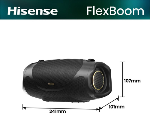 Hisense 20019368 altavoz portátil o de fiesta Altavoz portátil estéreo Negro 80 W