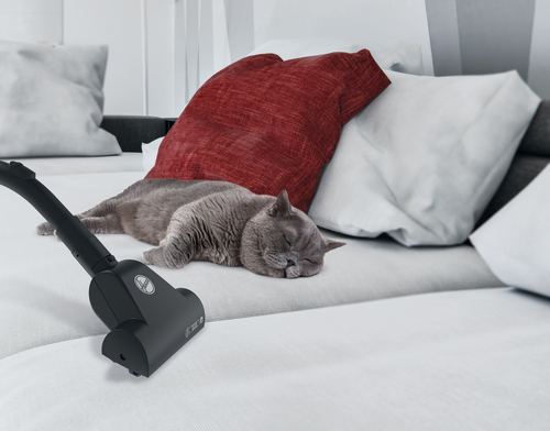 Hoover BV60PET 011 – image 6