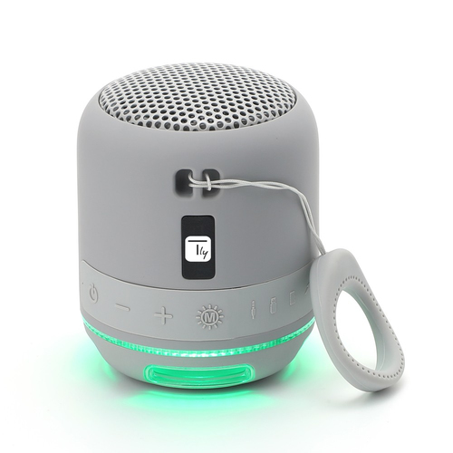 Techly ICASBL94GR portable/party speaker Grey