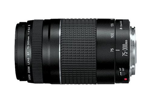 Canon Rebel T5 + EF-S 18-55mm IS + EF 75-300mm Ultimate Kit