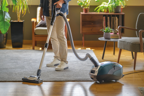 Hoover HE730ALG 011 – image 9