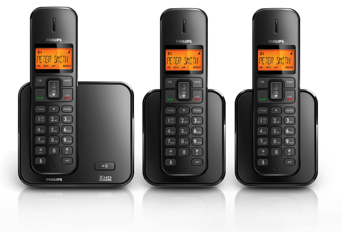Philips Perfect sound Cordless phone SE1703B/05