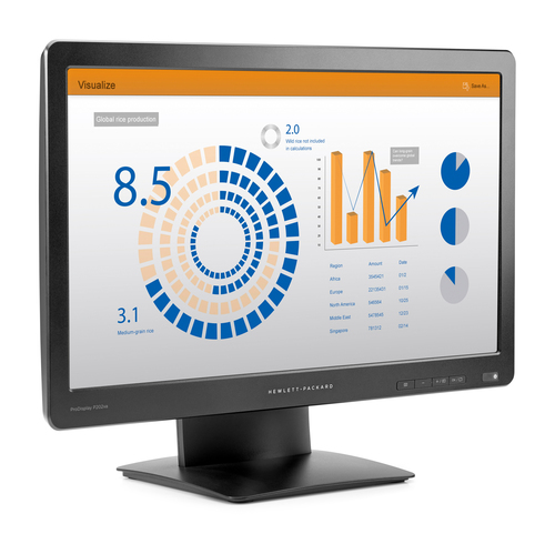 HP ProDisplay P202va – image 3