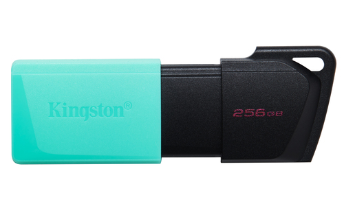 Kingston Technology DataTraveler ExodiaM 256GB USB 3.2 Flash Drive - image 1