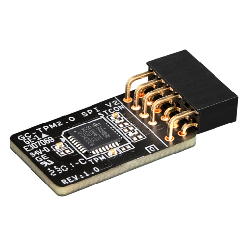 Gigabyte TPM SPi module