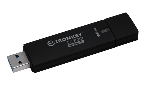 Kingston Technology IKD300M 32GB – image 3