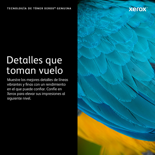 Xerox Cartucho de tóner Phaser 5550 imagen 3