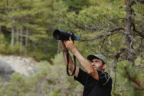 Canon EOS R6 Mark III + RF 24-105mm F4-7.1 IS STM – image 7