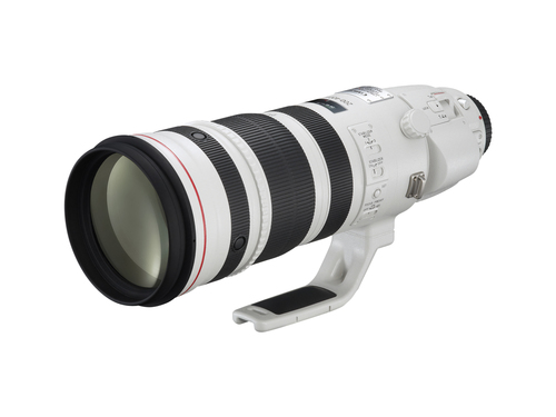 Canon EF 200-400mm f/4L IS USM Extender 1.4X – image 3