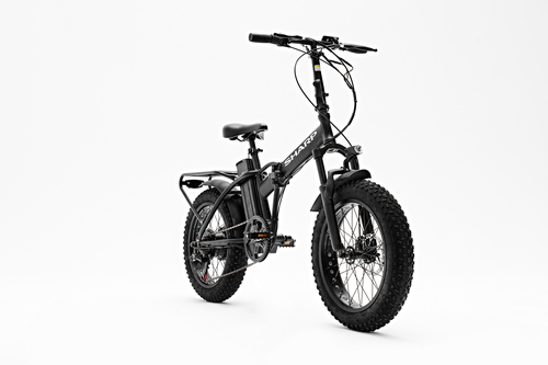 Sharp E-BIKE BK-FM02-EB – image 7
