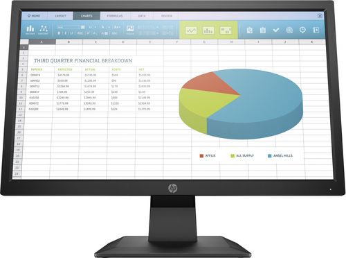 HP P204 computer monitor