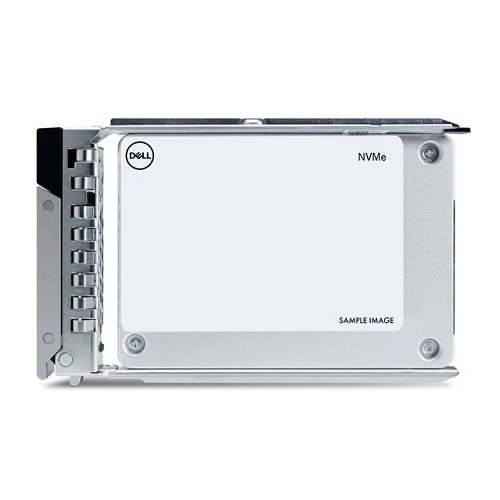DELL 960GB Data Center NVMe Read Int