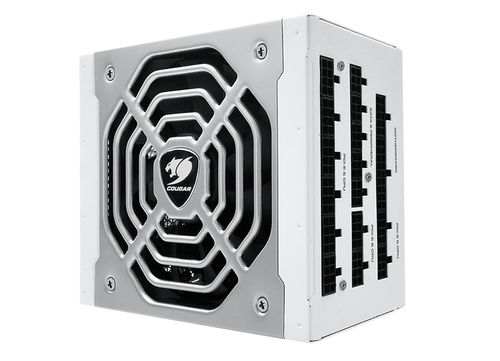 COUGAR Polar 1050 - Voeding, afbeelding 7