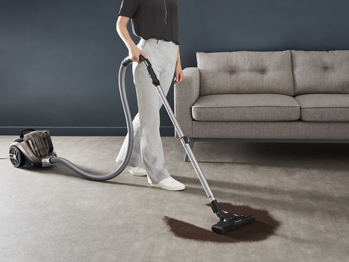 Rowenta Compact Power XXL RO4B50, afbeelding 2