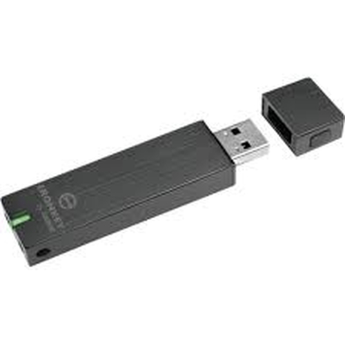 Kingston Technology IronKey D2-S250-S16-4FIPS USB flash drive