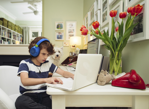 JBL JR460 NC – image 9