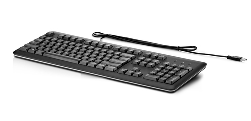 HP USB Keyboard Latin America QY776A6 - QY776A6