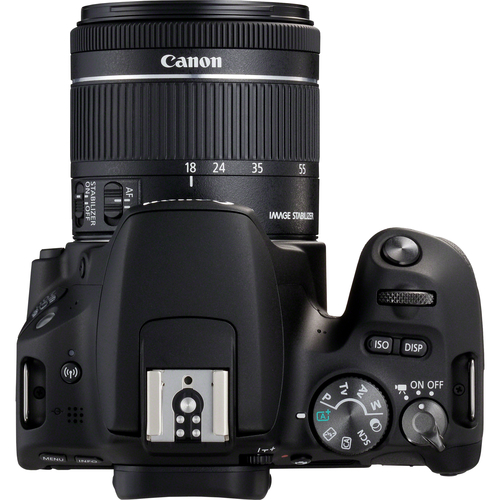 Canon 200D + EF-S 18-55mm f/4-5.6 IS STM – image 7
