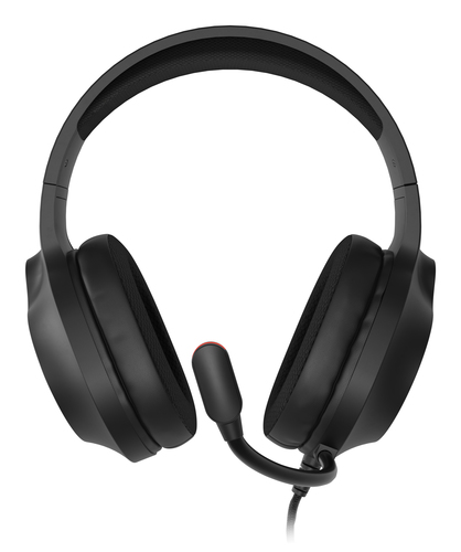 GENESIS NEON 213 – image 3