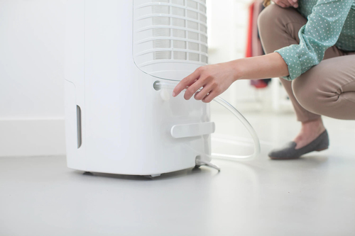 Philips 5000 series DE5205/30R1 dehumidifier – image 4