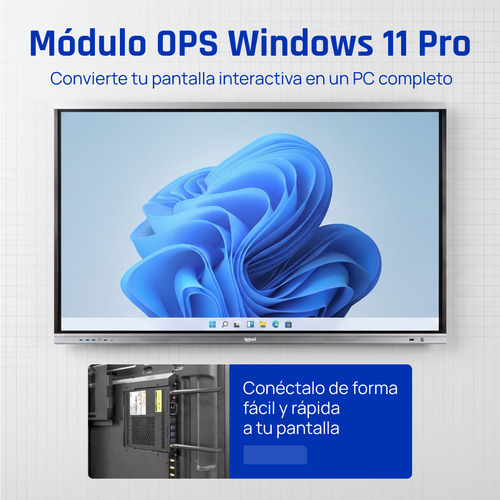 iggual OPS ORCHID i5 8+256G JAE 80pin Windows 11 Pro