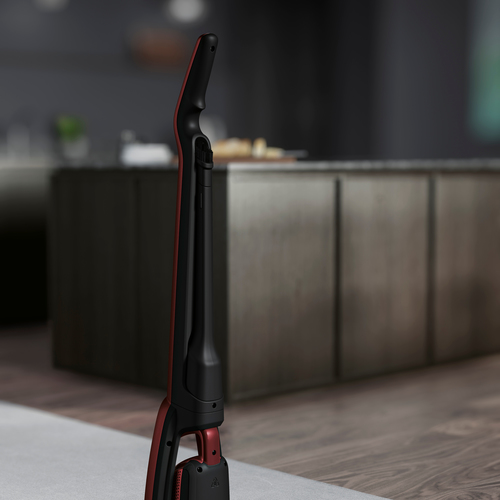 AEG QX7-ANIM - 900277549 – image 6