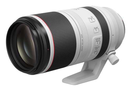 Canon RF 100-500mm f4.5-7.1L IS Usm Lens - image 4