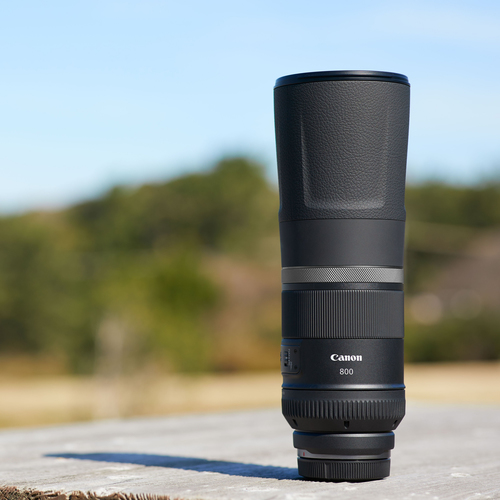 Canon RF 800mm F11 IS STM – image 8