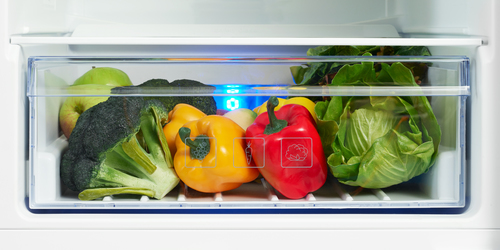 Beko BCB5050F Integrated Fridge Freezer with Active Fresh Blue Light™ – image 2