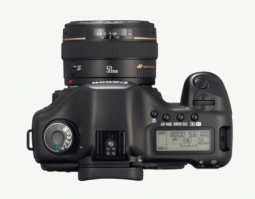 Canon EOS 5D + EF 85mm f1.2L II USM – image 3