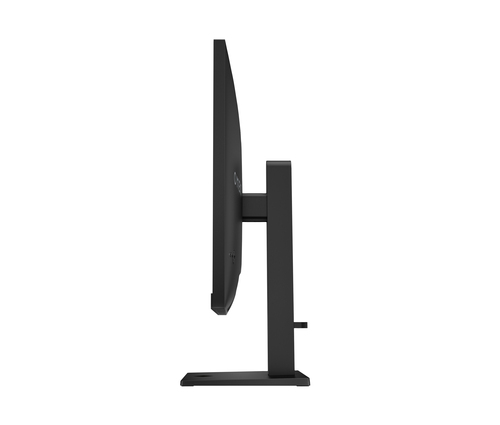 Monitor 31,5
