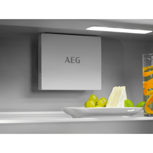 AEG TK6DS181ES холодильник Встроенный 310 L