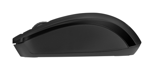 ASUS CW101 keyboard Mouse included Universal RF Wireless + USB Black – image 6
