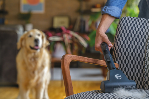 Hoover HE522PET 011 – image 8