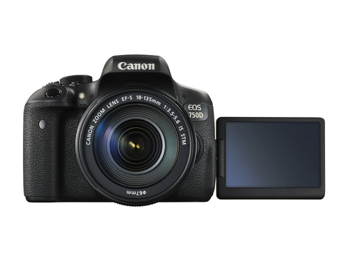 Canon 750D + EF-S 18-135 IS STM – image 7