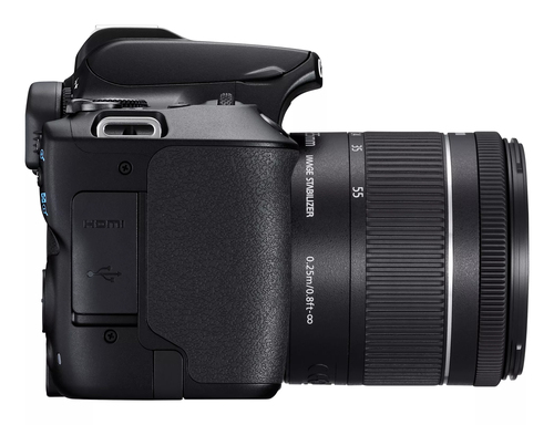 Canon 250D + 18-55mm IS STM – image 9
