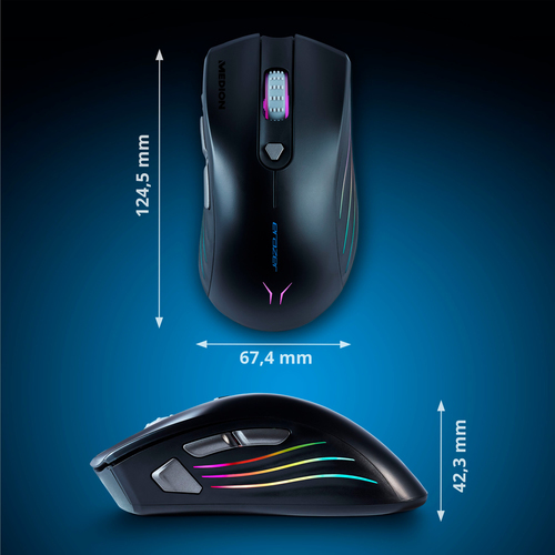 ERAZER Supporter P12 – image 4