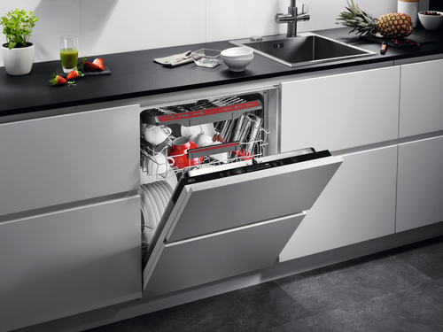 AEG FSS64907Z - 911536568 – image 4