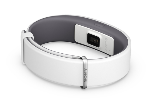Sony SWR12